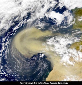 Ribut Pasir Sahara Ribut Pasir Sahara